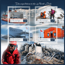 Полярные Экспедиция на Северный Полюс